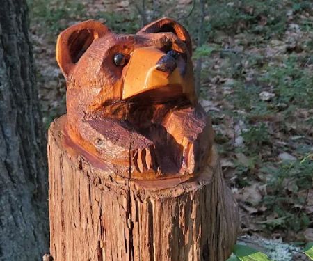 Stadig Mobile Park & Campgrnd