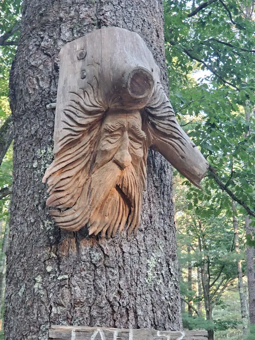 Stadig Mobile Park & Campgrnd Picture 4