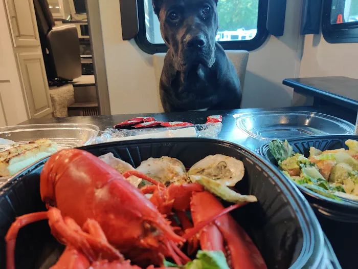 Riverside Campground Picture 7