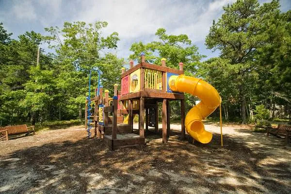 Old Chatham Road Campground Picture 9