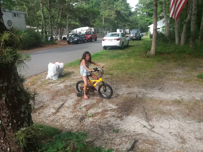 Old Chatham Road Campground Picture 7