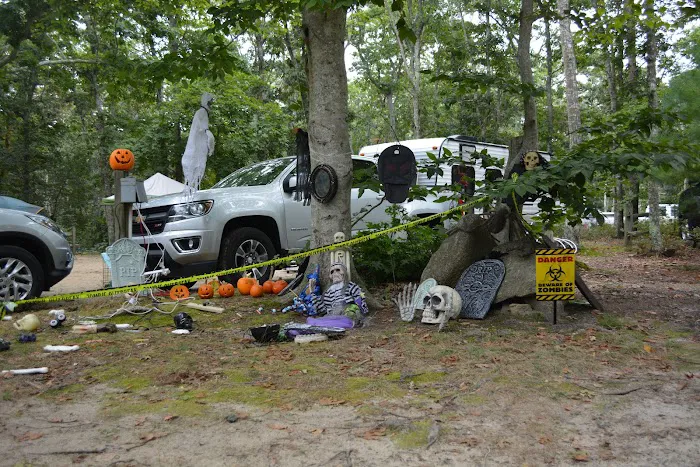 Sweetwater Forest Cape Cod Family Campground Picture 4