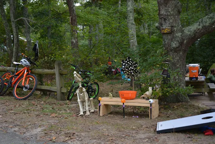 Sweetwater Forest Cape Cod Family Campground Picture 7