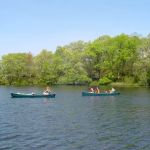 Sweetwater Forest Cape Cod Family Campground