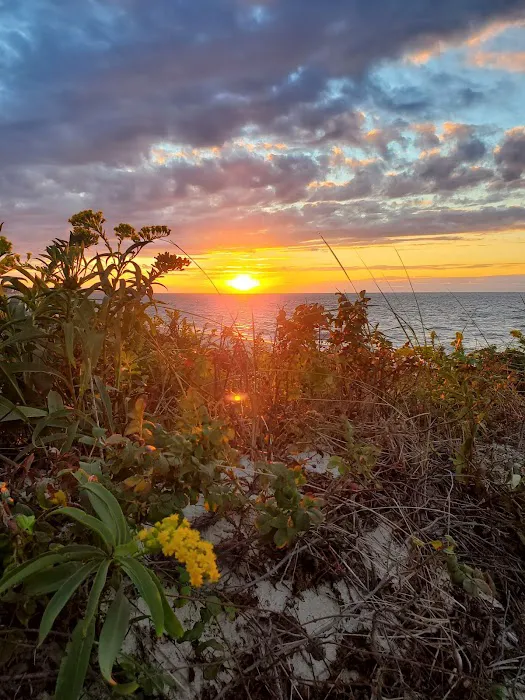 Linger Longer By the Sea Apartments Picture 2