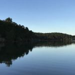 Nickerson State Park - Area 4