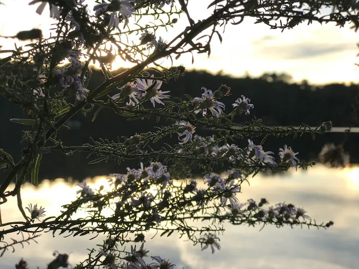 Nickerson State Park - Area 4 Picture 7