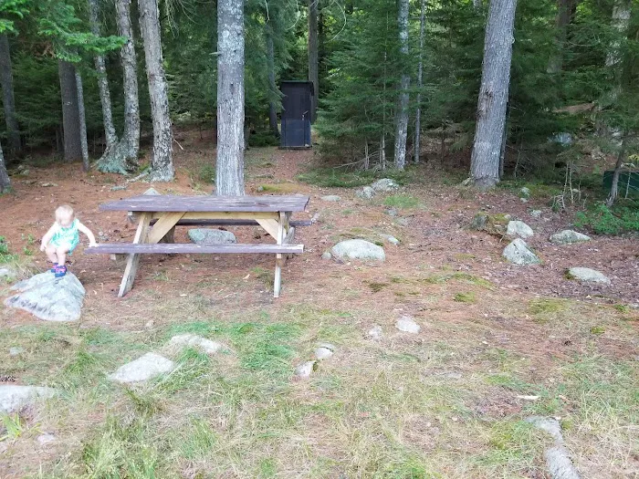 Forked Lake Campground Picture 7