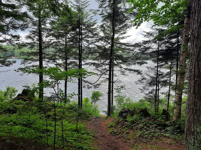 Forked Lake Campground Picture 2