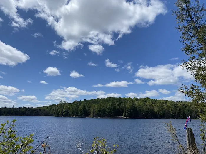 Forked Lake Campground Picture 9