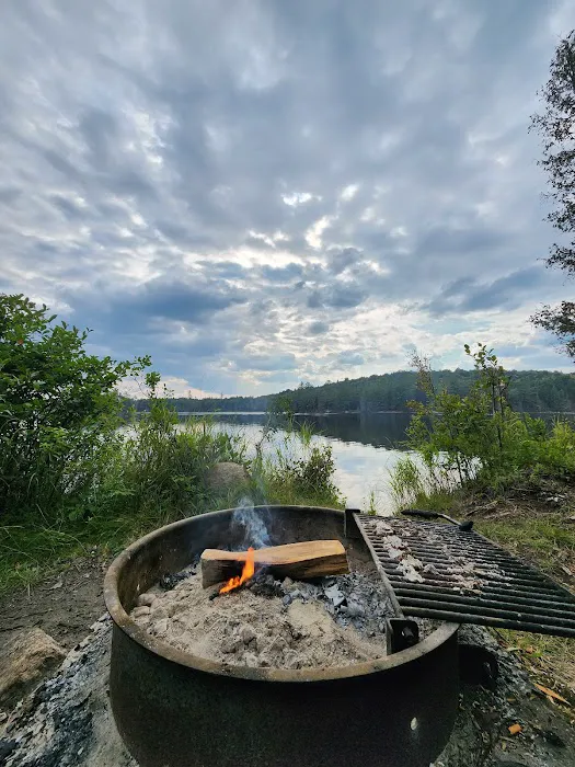 Forked Lake Campground Picture 8