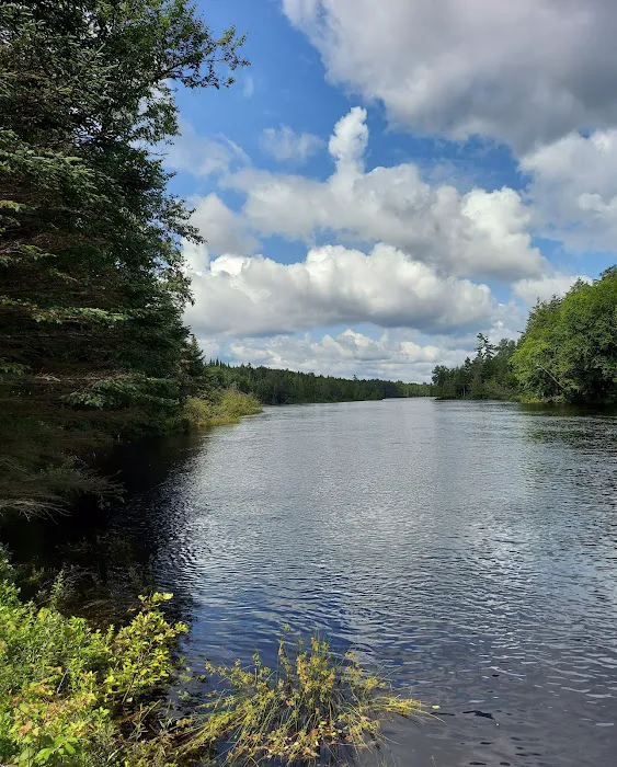 Forked Lake Campground Picture 6