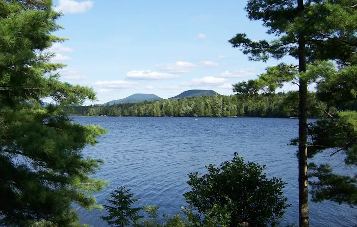 Forked Lake Site 52 Picture 2