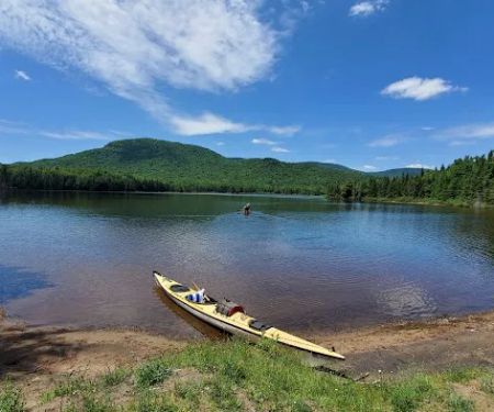 Cedar River Campsites