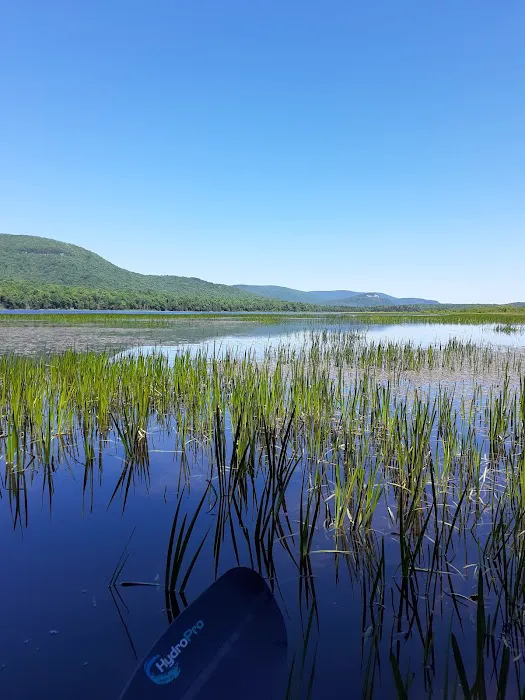 Cedar River Campsites Picture 9