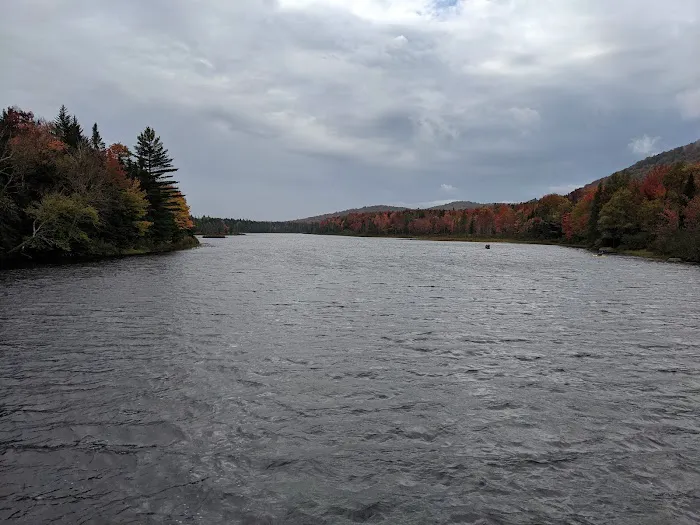 Cedar River Campsites Picture 3