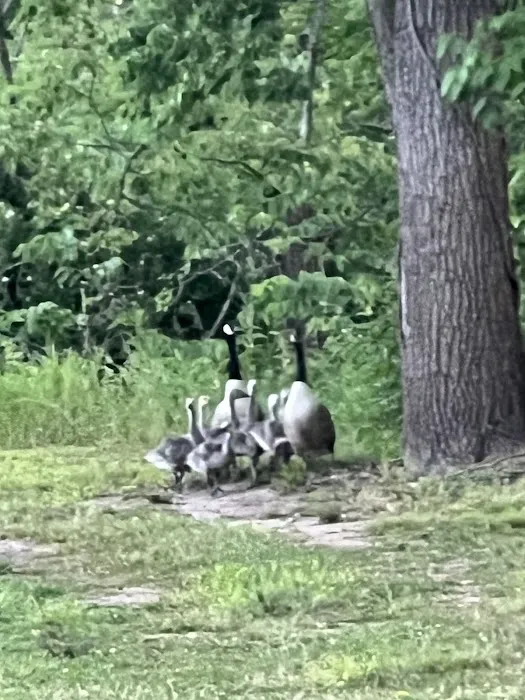 Raystown Riverbend Campground Picture 2