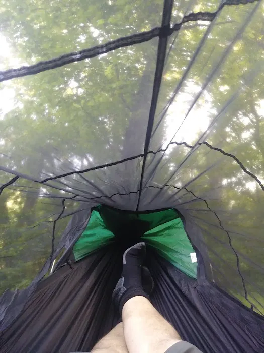 Leopards Mill Campsite Picture 8