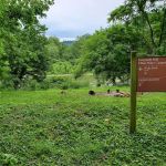 Leopards Mill Campsite