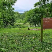 Leopards Mill Campsite ico