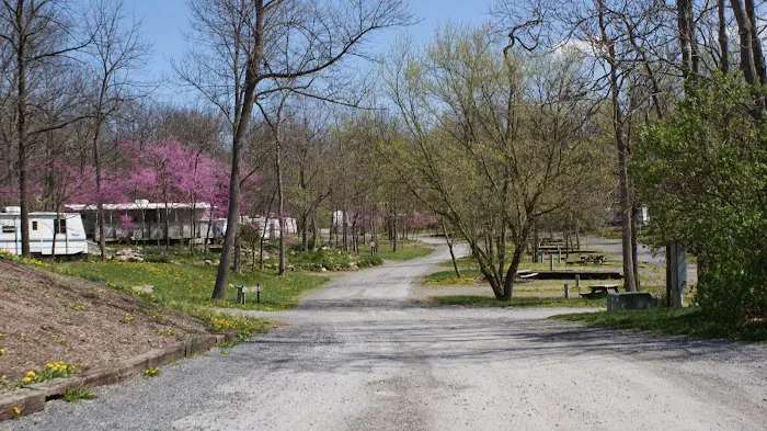 Happy Hills Campground Picture 5