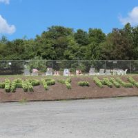 Happy Hills Campground ico