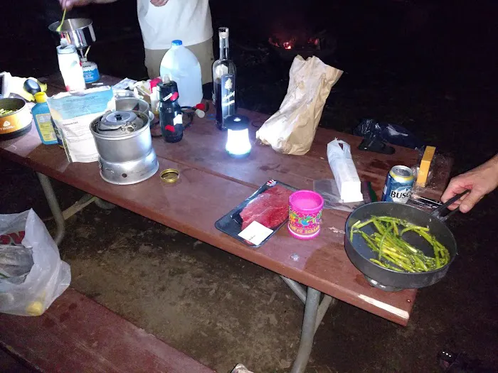 Cacapon Junction Campsite Picture 2