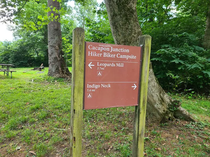 Cacapon Junction Campsite Picture 1