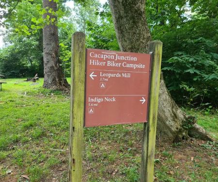 Cacapon Junction Campsite