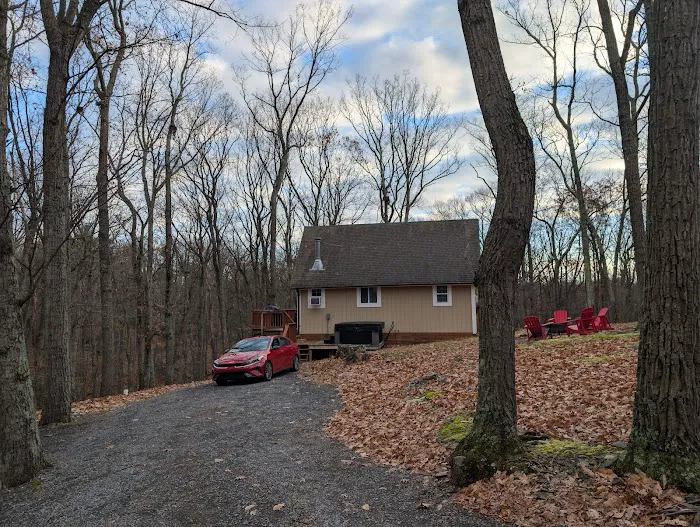 Blue Maple Stays Picture 1