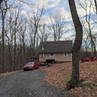 Blue Maple Stays ico