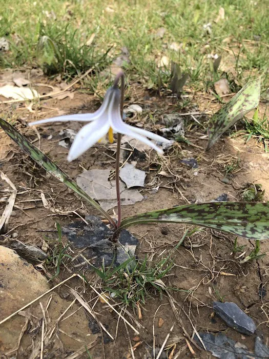 Bear Creek Campground Picture 1