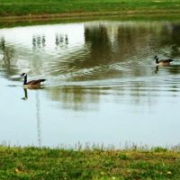 Leatherman's/Falling Waters Campsite ico