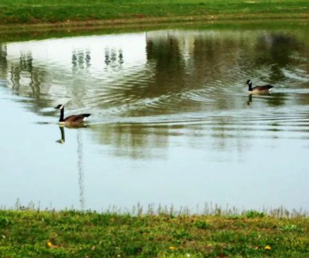 Leatherman's/Falling Waters Campsite