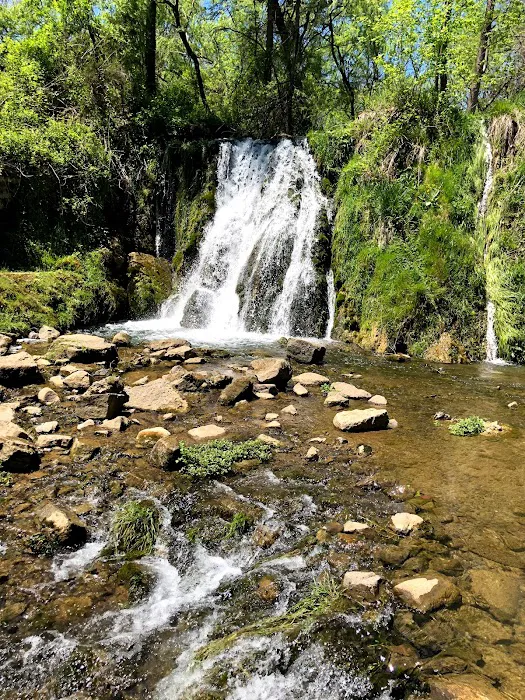 Falling Waters River Lots Picture 7