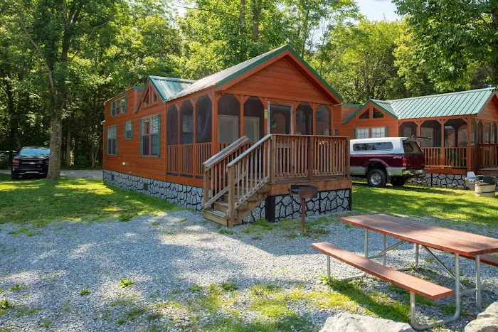 Jellystone Park™ Williamsport Picture 3