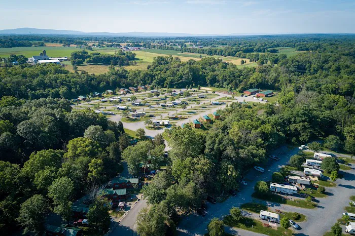 Jellystone Park™ Williamsport Picture 7