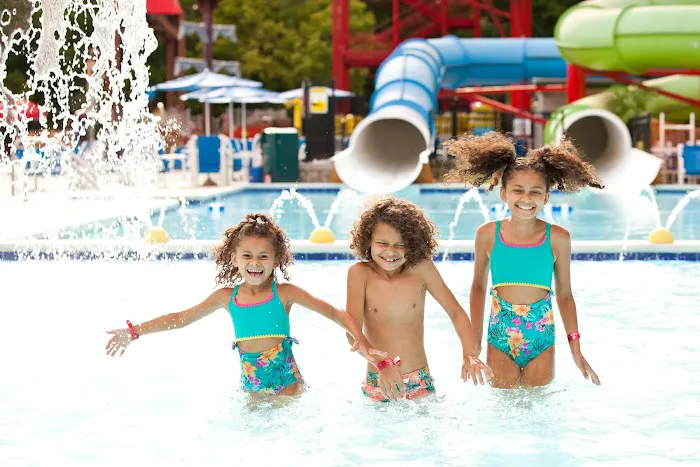 Jellystone Park™ Williamsport Picture 8