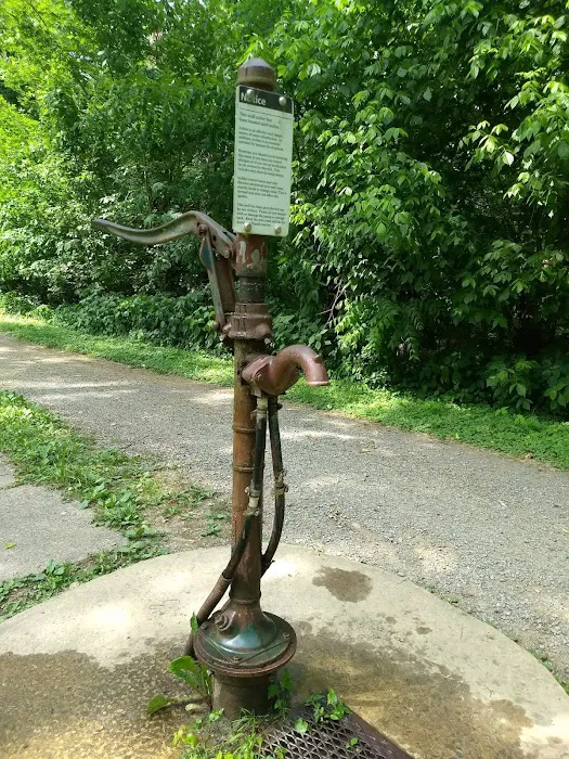 Opequon Junction Campsite Picture 6