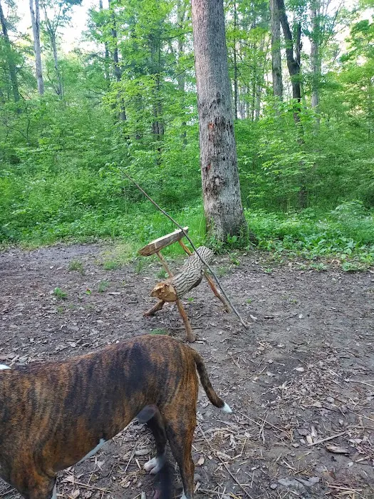 Green Ridge State Forest Campground #3 Picture 9