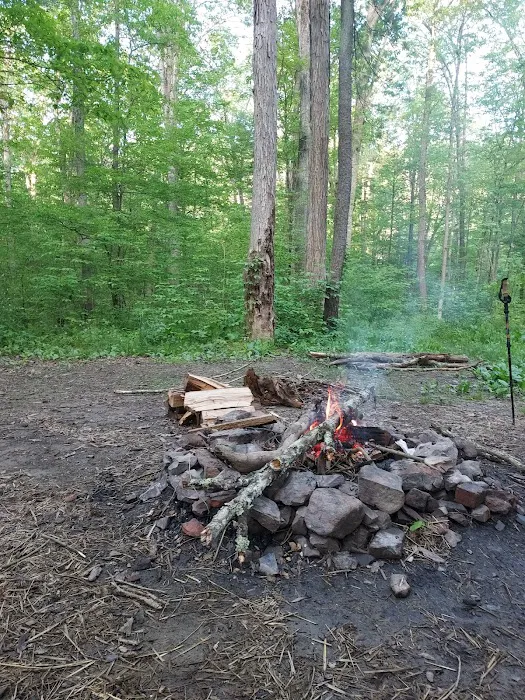 Green Ridge State Forest Campground #3 Picture 3