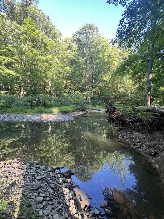 Green Ridge State Forest Campground #3 Picture 10