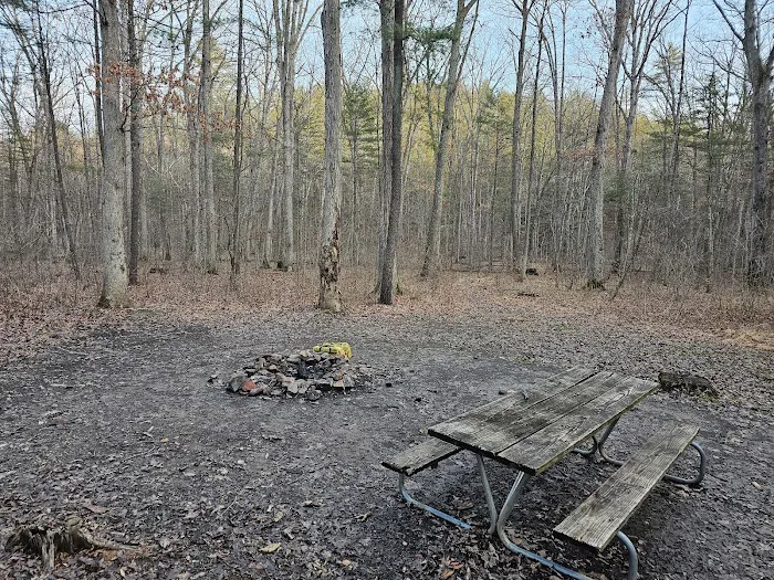 Green Ridge State Forest Campground #3 Picture 4