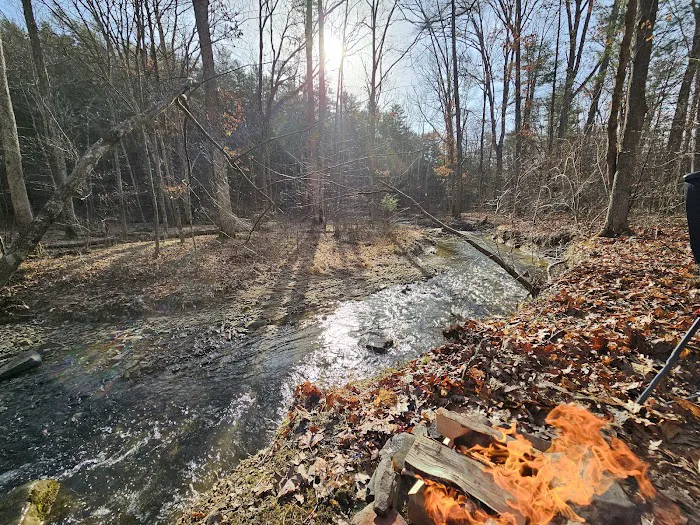 Green Ridge State Forest Campground #3 Picture 7