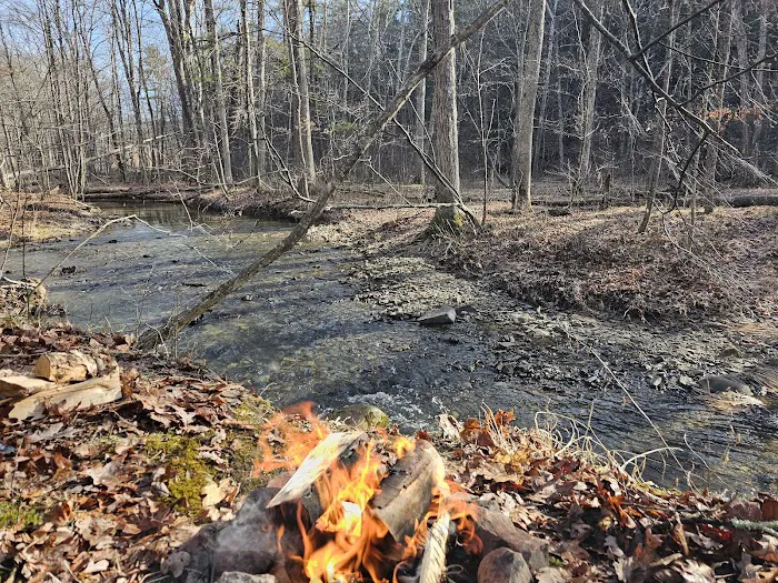 Green Ridge State Forest Campground #3 Picture 5