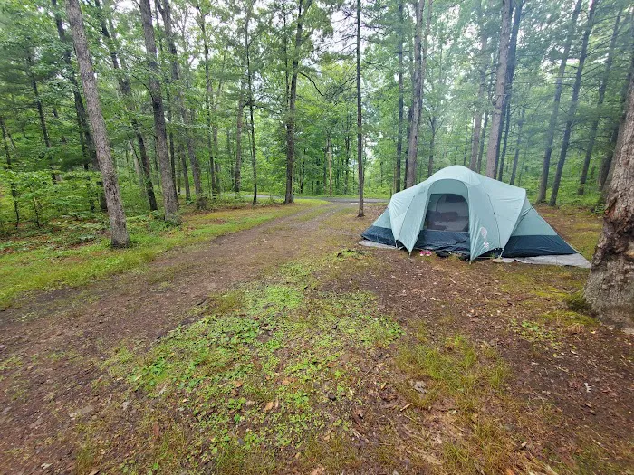 Green Ridge State Forest Campground #4 Picture 6