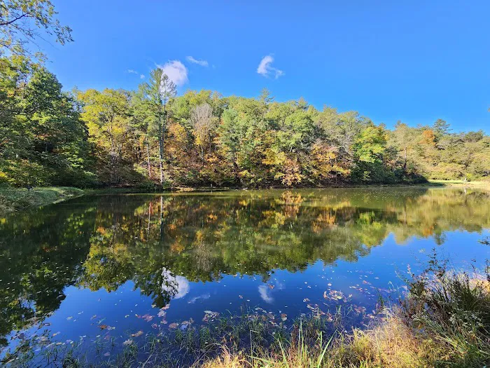 Green Ridge State Forest Campground #4 Picture 4