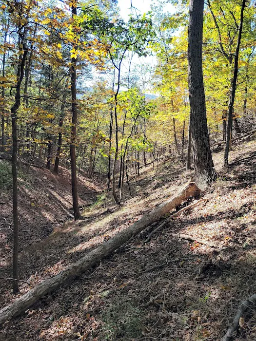 Green Ridge State Forest Campground #4 Picture 7