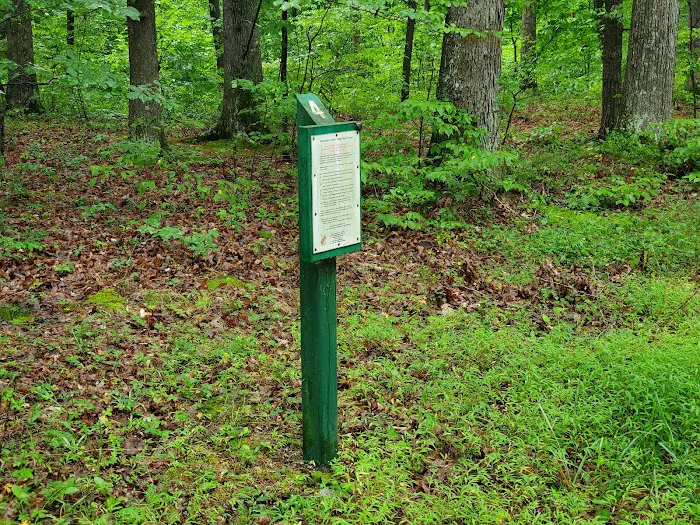 Green Ridge State Forest Campground #4 Picture 9