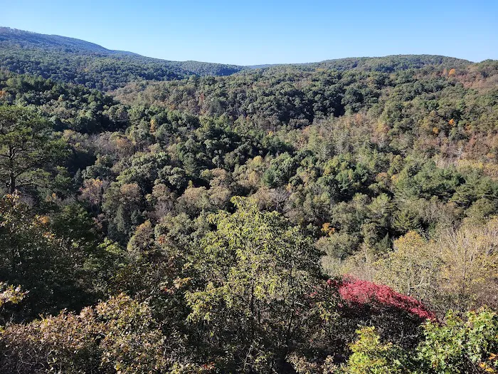Green Ridge State Forest Campground #4 Picture 10